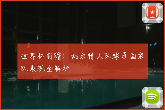 世界杯前瞻:凯尔特人队球员国家队表现全解析