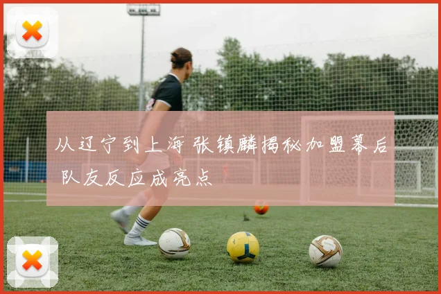 从辽宁到上海 张镇麟揭秘加盟幕后 队友反应成亮点